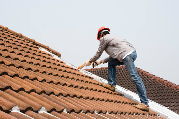 Best Gutter Installation and Repair  in Highland Park, IL